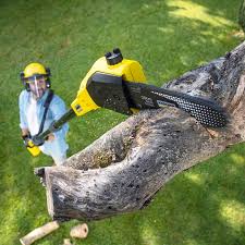 Lawn Irrigation Installation and Maintenance in Rush Springs, OK
