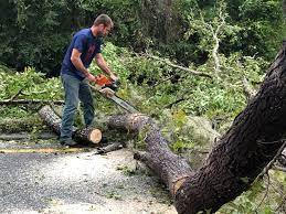 Best Leaf Removal  in Rush Springs, OK