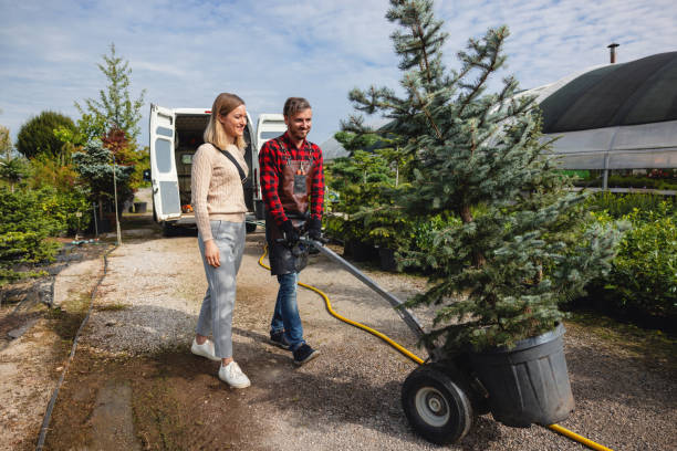 Best Emergency Tree Removal  in Rush Springs, OK