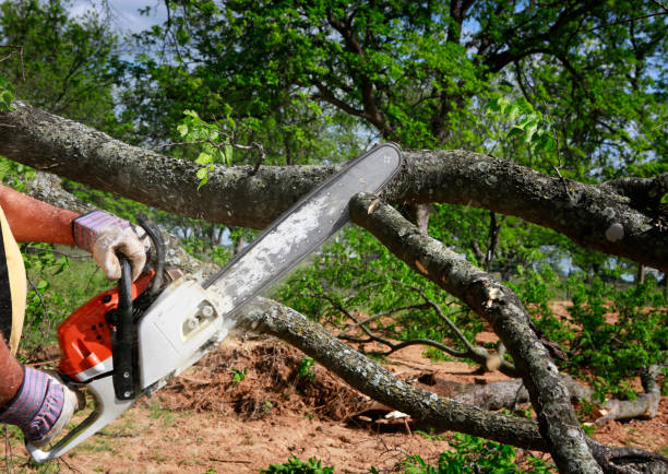 Best Soil Testing and Treatment  in Rush Springs, OK